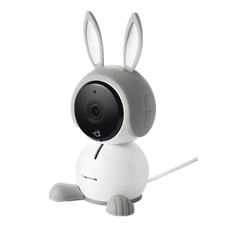 Arlo Baby (Gray Bunny Character)